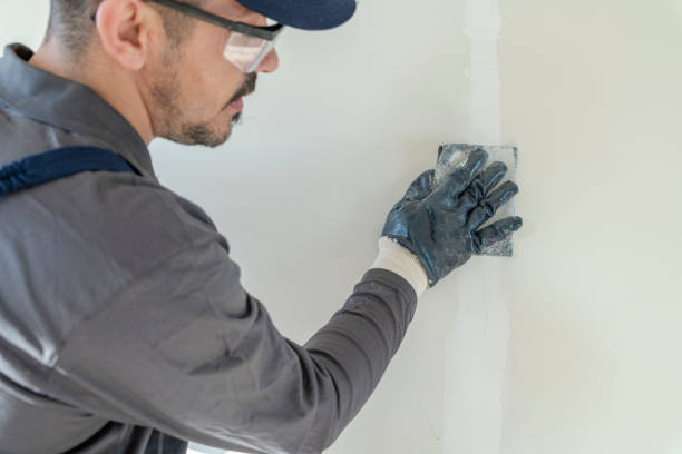 Best Interior Painting  in Carbondale, CO